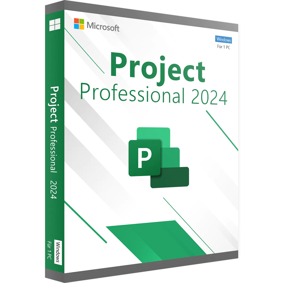 microsoft project 2024 pro